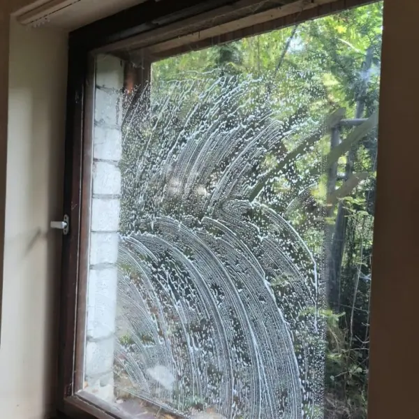 Fensterreinigung